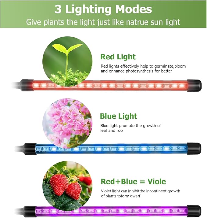 LED Grow Light, 2Head 6000K Clip Plant Growing Lamp with Red Blue LEDs for Indoor Plants, Grow Light for Indoor Plants, Auto On Off Timing 3 9 12Hrs, 10-Level Dimmable, 3 Switch Modes