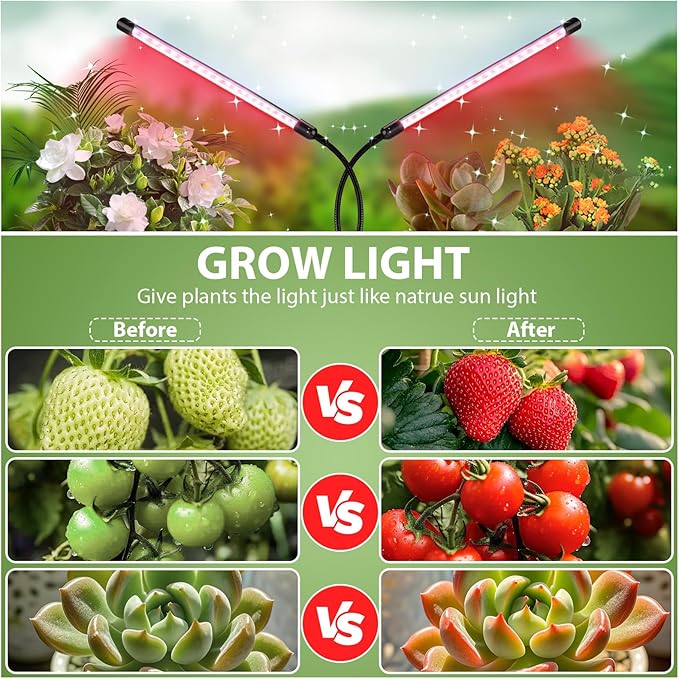 LED Grow Light, 2Head 6000K Clip Plant Growing Lamp with Red Blue LEDs for Indoor Plants, Grow Light for Indoor Plants, Auto On Off Timing 3 9 12Hrs, 10-Level Dimmable, 3 Switch Modes